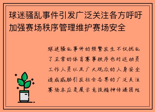 球迷骚乱事件引发广泛关注各方呼吁加强赛场秩序管理维护赛场安全